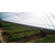 青州温室|青州鑫华生态农业|玻璃温室缩略图1