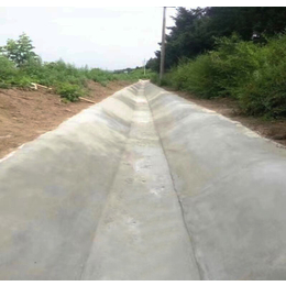 广西柳州供应河道治理新材料混凝土帆布水泥毯浇水固化神奇水泥毯缩略图