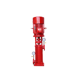 消防水泵安装-甘肃消防水泵-淄博顺达水泵制造公司