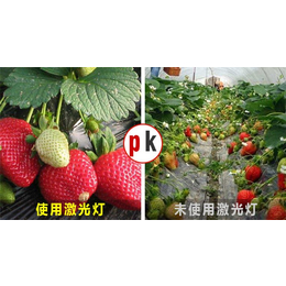 【激光植物补光灯】(图)|火龙果补光灯|甘孜补光灯