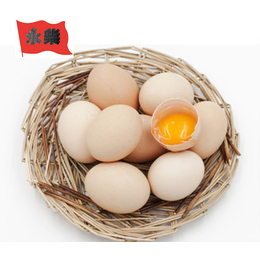 永柴养殖柴鸡蛋批发(图)、河北柴鸡蛋价格、柴鸡蛋价格
