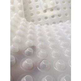 潍坊种植屋面蓄排水板HDPE塑料排水板