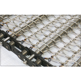 链条输送带-天德金属网输送带-清洗设备链条输送带
