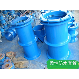 柔性防水套管材质-瑞海管道(在线咨询)-荣昌防水套管