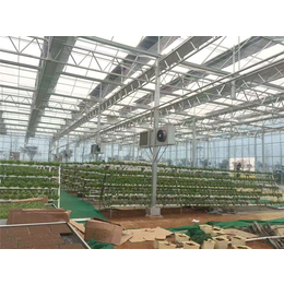 玻璃温室建造-玻璃温室-青州瀚洋农业(查看)