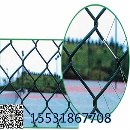 供应河南焊接式篮球场围栏网体育场防护网现货缩略图