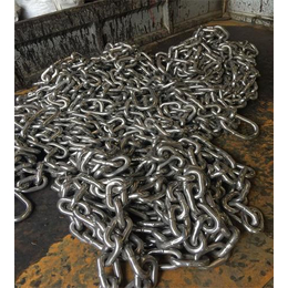 泰安市鑫洲机械(图)|不锈钢链条生产厂家|不锈钢链条