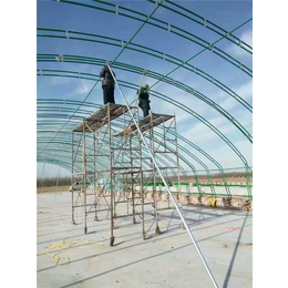 日光温室大棚-建源温室(在线咨询)-温室大棚