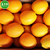 新鲜进口水果南非CORE脐橙茶饮榨汁*30斤 广州江南市场缩略图4