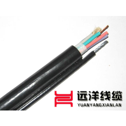 宁夏控制电缆(图)|阻燃控制电缆|中卫控制电缆