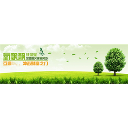 氧**硅藻泥,区域硅藻泥代理,扬州区域硅藻泥代理