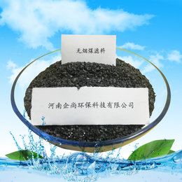 重庆*煤滤料 水处理滤料的选择标准