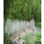 郑州景区雾森系统报价-【绿森环保】(在线咨询)-景区雾森系统缩略图1