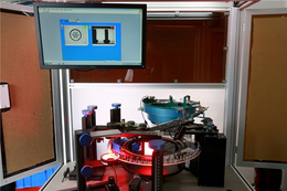 光学筛选机-林洋机械(在线咨询)-光学筛选机厂家