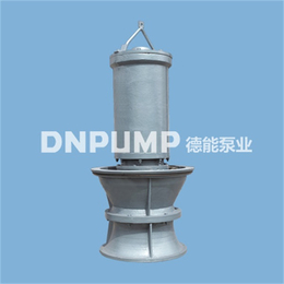 德能泵业公司(图)|潜水轴流泵工厂|天津潜水轴流泵