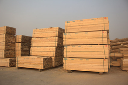 潍坊辐射松建筑木材-旺源木业-辐射松建筑木材哪家便宜