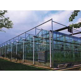 pc板温室大棚建设厂家-安康pc板温室大棚-鑫凯农业安全可靠