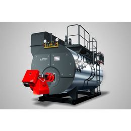 重庆联宏锅炉(图)|循环流化床锅炉安装标准|石柱锅炉安装