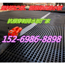 绿达建材-忻州车库排水板厂家蓄排水板价格疏水板厂家新闻资讯