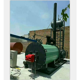 燃气导热油炉生产商-艺能锅炉(在线咨询)-内蒙古燃气导热油炉