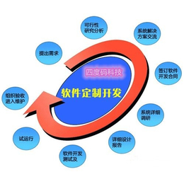 双轨制*软件 手机软件网站定制缩略图