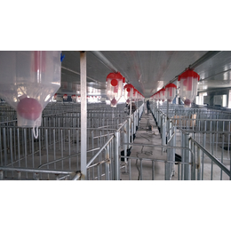 猪场自动化上料系统 自动料线设备 现代化猪场料线安装
