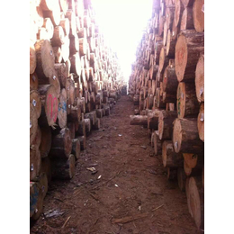 威海木材加工厂价钱低
