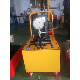 重庆超高压电动泵-星科液压生产厂家-生产超高压电动泵