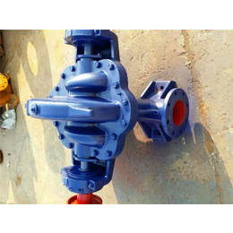 强盛泵业厂家-SH型大口径双吸泵