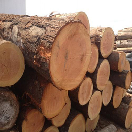 国鲁工贸(在线咨询)-木材加工厂-日照市岚山区木材加工厂