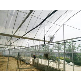 薄膜连栋-青州瀚洋农业-供应薄膜连栋温室