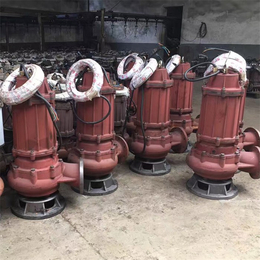 大庆50WQ40-15-4立式排污泵结构-跃泉泵业