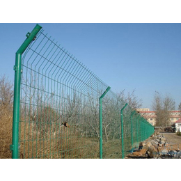 河北宝潭护栏、沧州双边框架护栏网、双边框架护栏网经销商