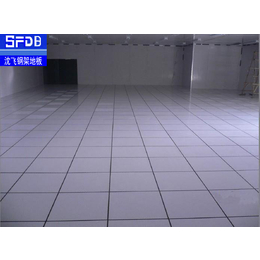 北京防静电地板|沈飞防静电|防静电地板工程