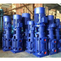 DL型多级泵价格,浙江DL型多级泵,强盛泵业(多图)