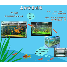 鱼缸玻璃批发|方圆鱼缸玻璃厂家(在线咨询)|南召鱼缸玻璃