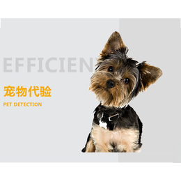 阳泉国际宠物托运公司_天地通航空公司(在线咨询)