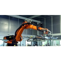 搬运机器人厂家-施格自动化(在线咨询)-赣州搬运机器人
