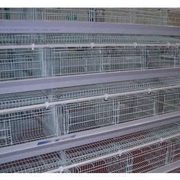 蓬莱肉鸡笼-禽翔笼具养殖设备-多层肉鸡笼销售