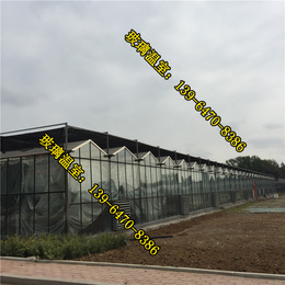 玻璃温室,北京玻璃温室建设,天津玻璃温室造价
