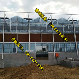 玻璃温室、北京玻璃温室建设、保定玻璃温室设计安装