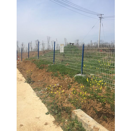 圈山桃形柱护栏网 南京圈地护栏网 六合苗圃围栏网 园林围栏网