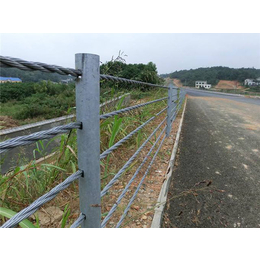 梧州缆索护栏,威友丝网(在线咨询),公路缆索护栏
