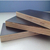  建筑模板木工板建筑防水工地用模板板材加工缩略图3