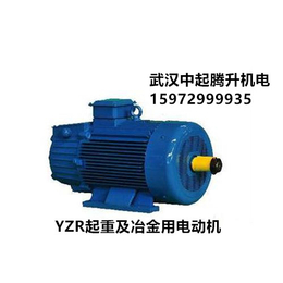 盘龙YZR250M2-8/37KW_起重及冶金用电机