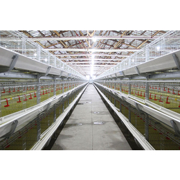 鸡自动化养殖设备_方圆养殖设备_周口养殖设备