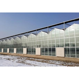 玻璃温室|天水温室|鑫华生态农业(查看)