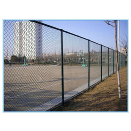 丹东体育球场围栏-腾佰丝网-体育球场围栏的用途