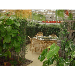 生态餐厅生产厂家-生态餐厅-青州瀚洋农业