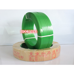 净重塑钢带规格-润丰达塑料制品(在线咨询)-天津净重塑钢带